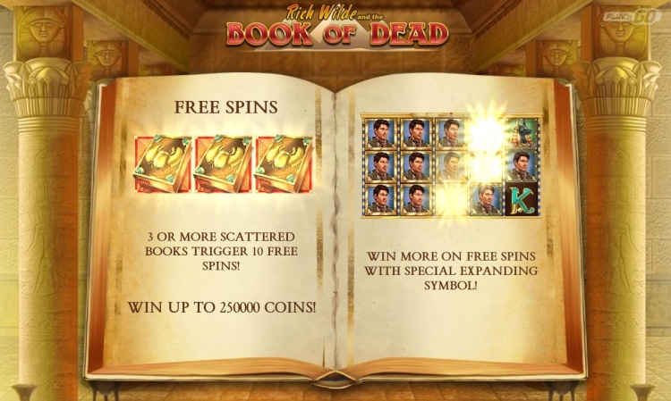 Book of dead Play n Go pokie review