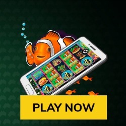 Spin casino online